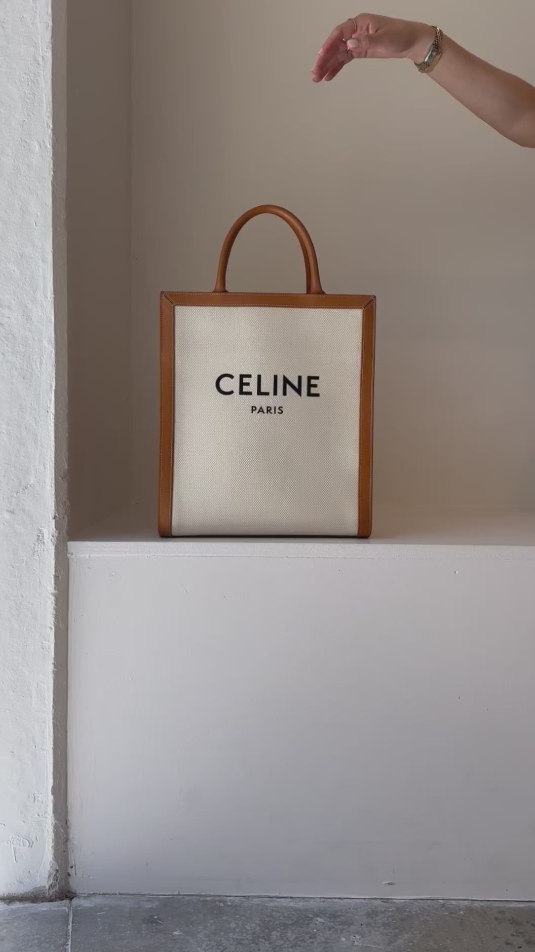 Celine Canvas And Leather Tote Bag Vertical Cabas Bag