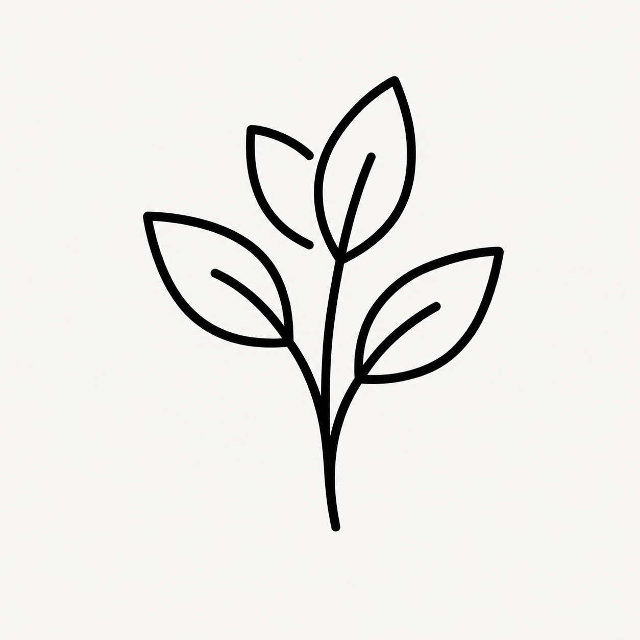 icon 2