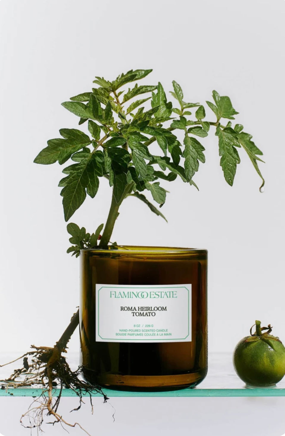 Product view of Flamingo Estate Roma Heirloom Tomato Candle at Alas Eius
