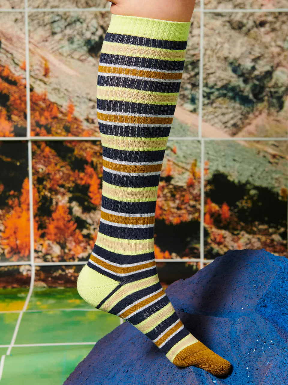 Multi Color Line Stripe Socks