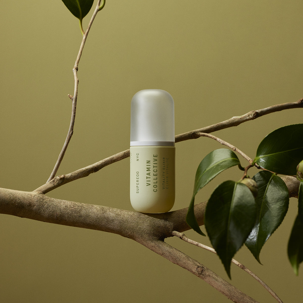 Small bottle of Superegg Skincare Vitamin Collective Vitality Elixir perched on a tree branch. The serum features a brightening treatment developed with a precisely dosed, concentrated collective of vitamins (B, C, E, F, K) and botanicals to bring rich antioxidant energy to the skin at Alas Eius.