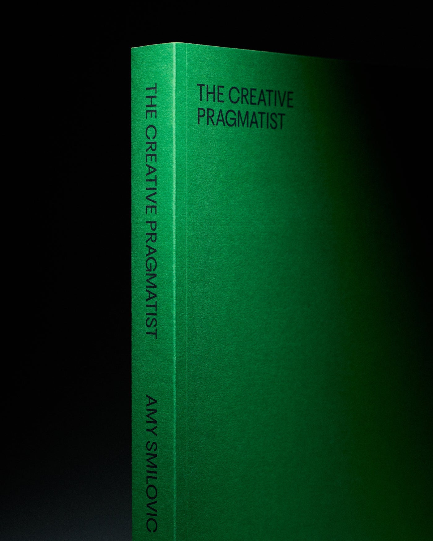 Tibi Creative Pragmatist Style Book with Updated Illustrations at Alas Eius